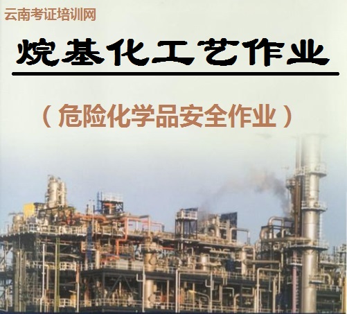 烷基化工艺作业.jpg